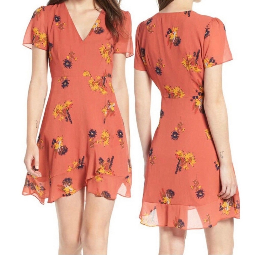 Madewell size 6, posy cactus flower dress